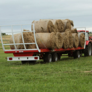 METAL-FACH T009 platvormhaagis