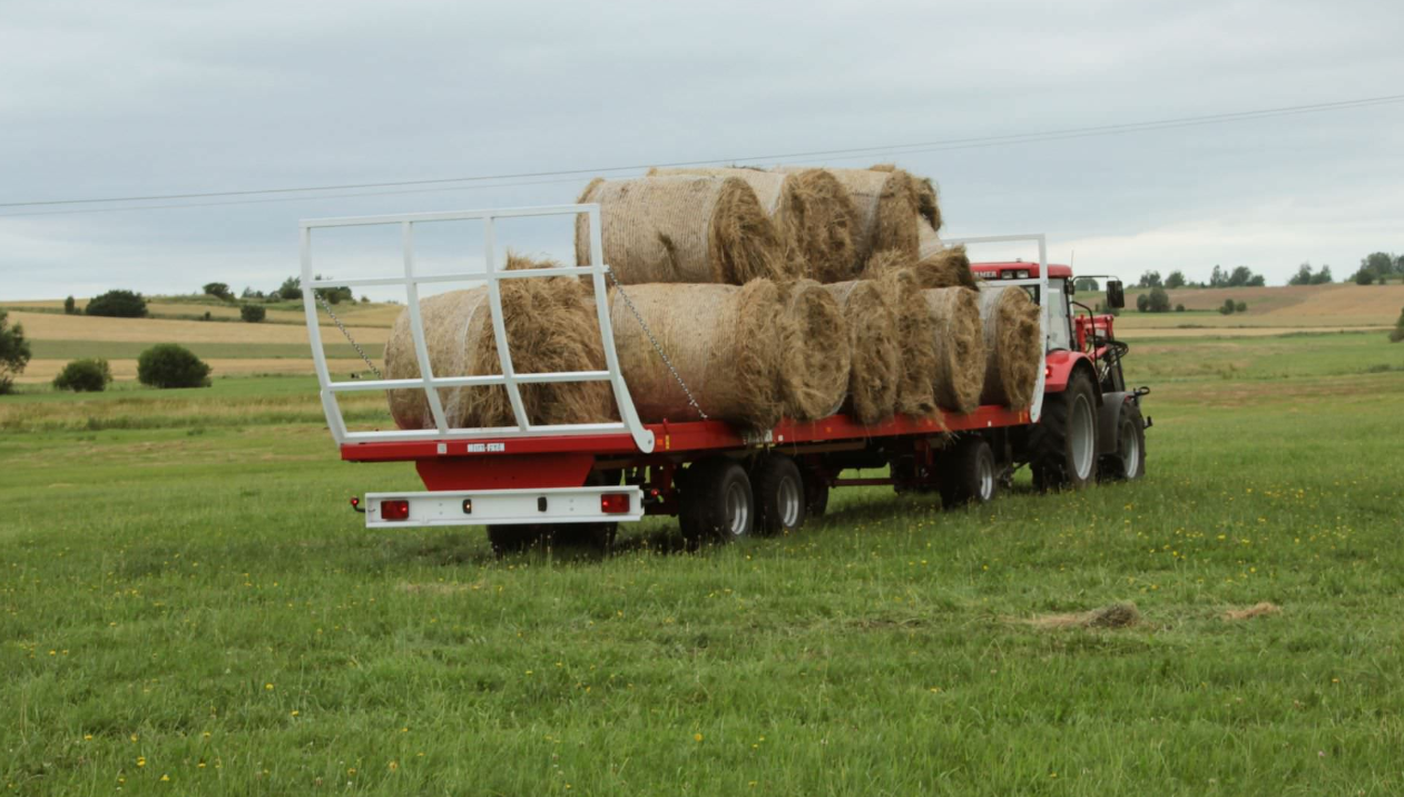 METAL-FACH T009 platvormhaagis