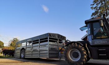 LOOMAVEOHAAGIS MUSTANG MA